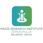  Maize Research Institute